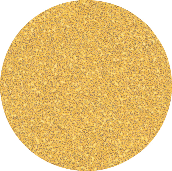 Bosch EXPERT C470 Schleifpap. o. Löcher f. Winkelschl. u. Bohr., 125 mm