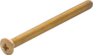 HOPPE Gewindeschraube M6 für Schutzbeschläge, -Profiltür-Garnituren mit sichtbarer Befestigung, Eisen