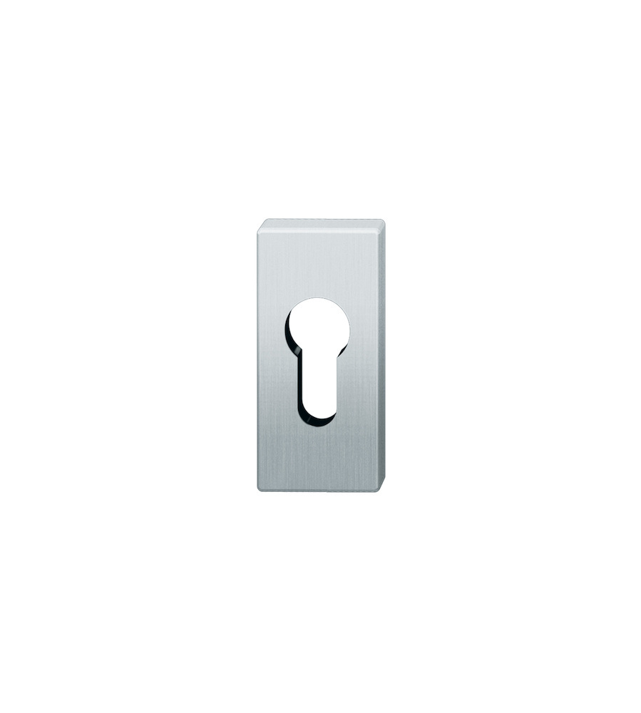 FSB Schlüsselrosette 17 1778, verdeckt verschraubt, Edelstahl