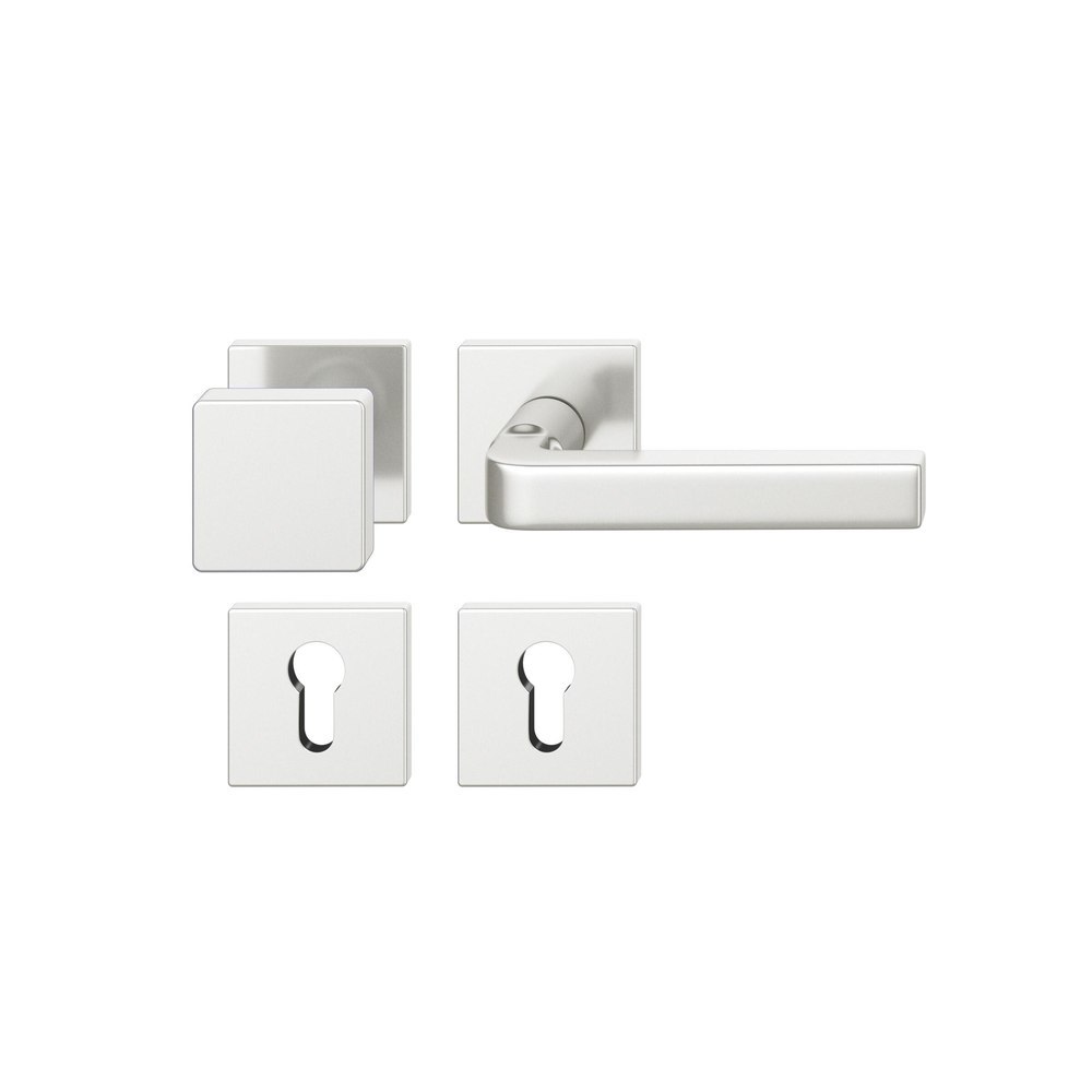 FSB Wechselgarnitur mit Rosetten 12 1004, Knopf 0 811, VK 8, eckig, Aluminium