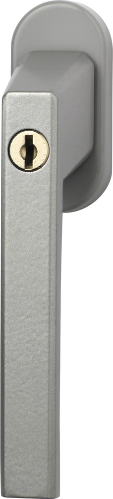 Artikelhauptbild Var.505468 - Silber