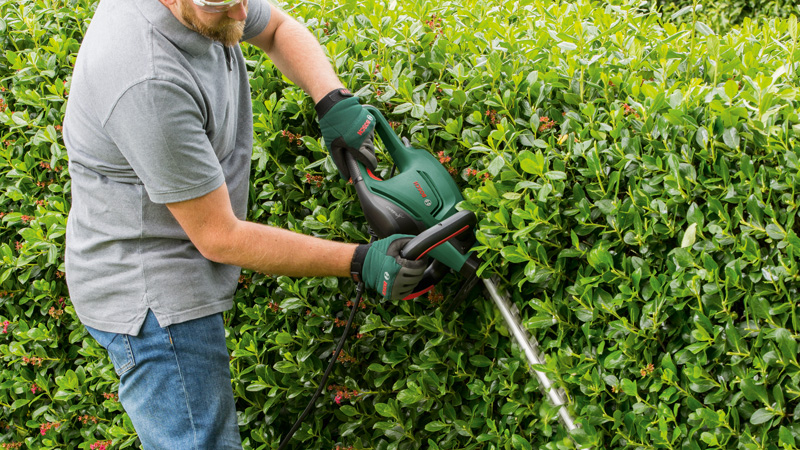Garten, Natur, Draußen, Gartenarbeit, Person