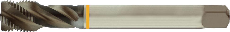 Sackloch Maschinengewindebohrer, blank