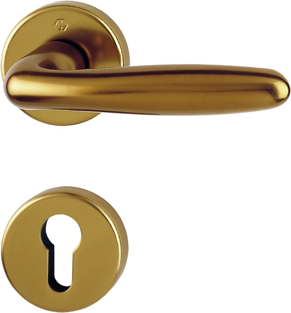 Türgriff, Türdrücker, Schlossrosette, Messing, Goldfarben