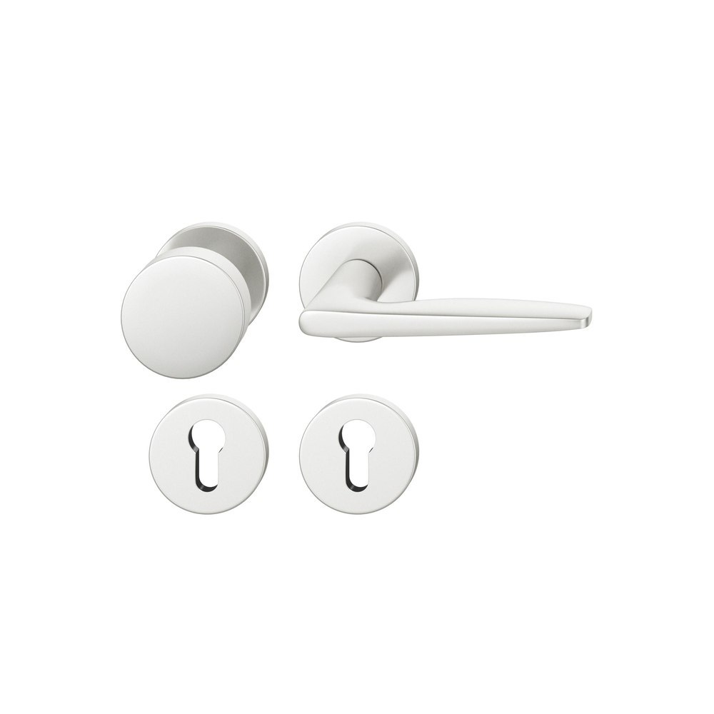 FSB Wechselgarnitur mit Rosetten 12 1058, Knopf 0 829, VK 8, rund, Aluminium