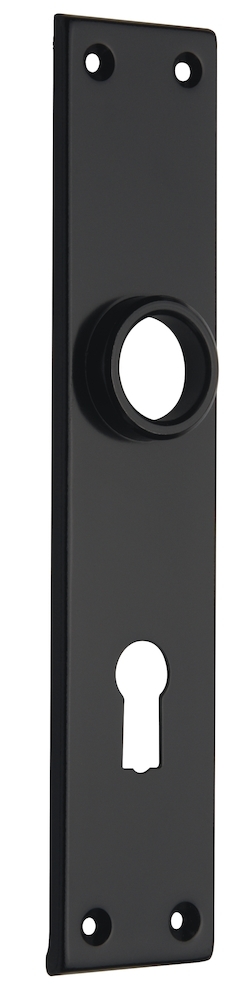 Artikelhauptbild NIEDERHOFF DELL Langschild Deni 3215 Profilzylinder gelocht E72 sichtbar verschraubt lackiert