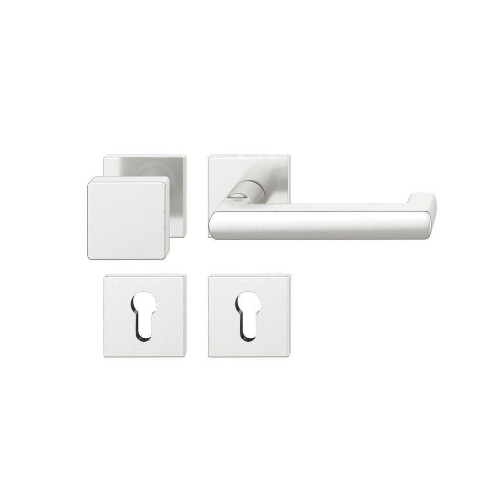 FSB FH Wechselgarnitur mit Rosetten 79 1031, AGL3, eckig, VK 9 mm, Aluminium