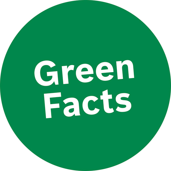 Symbol, grün, Kreis, Fakten, grüner Kreis, Grafik