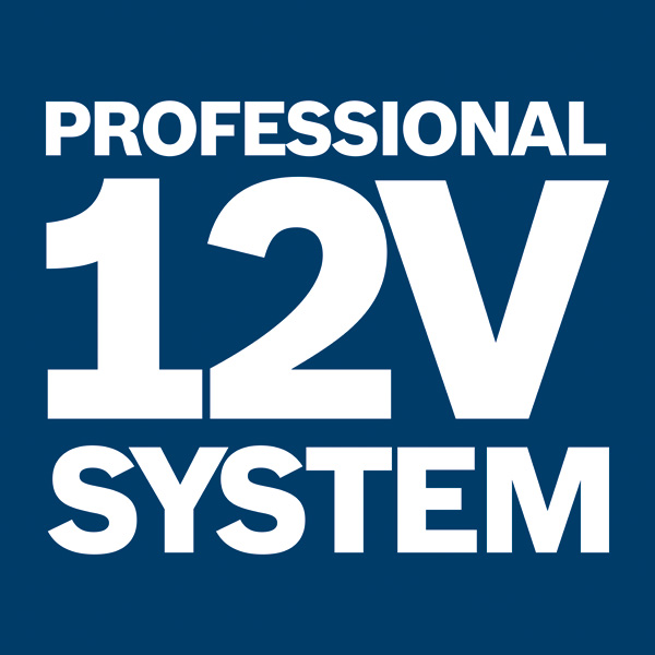 Symbol, 12V, System, Professional, Logo, Blau