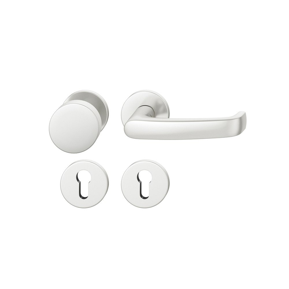 FSB Wechselgarnitur mit Rosetten 12 1045, Knopf 0 829, VK 8, rund, Aluminium