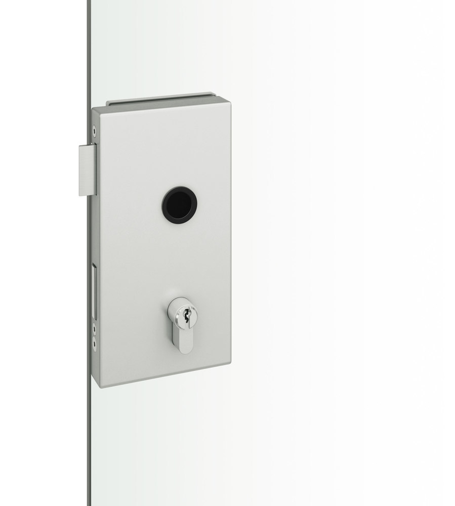 FSB Ganzglastürschloss 13 4220, Bronze