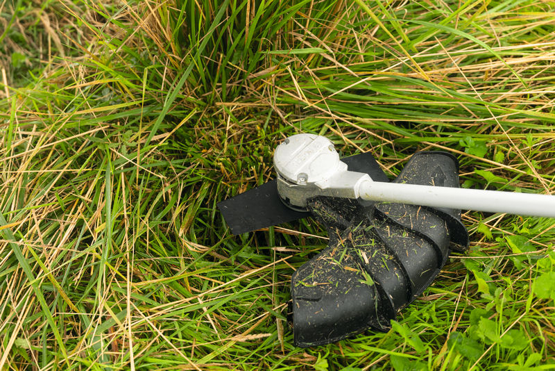 Anwendungsbild, Rasenpflege, Abschlusskeil, Trimmer, Gartenwerkzeug, Messerhead
