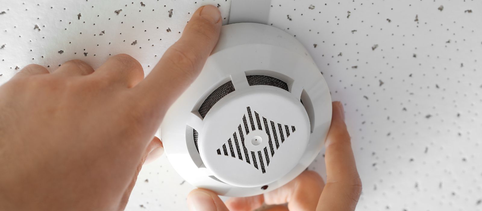 Teaser Blogs (1600 x 700 px) (55)